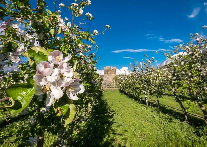 La Tour De Frühstückspension
