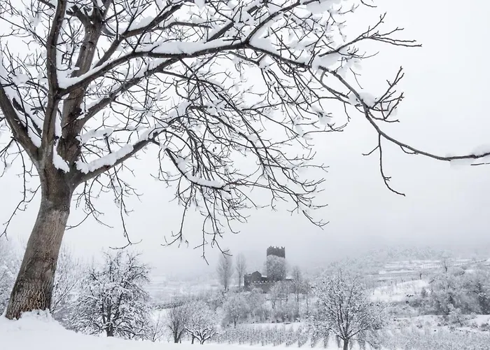 La Tour De Frühstückspension 4*