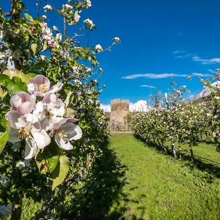 La Tour De Bed & Breakfast