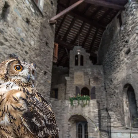 Bed & Breakfast La Tour De