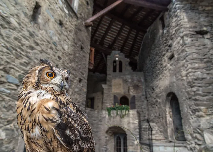 Bed & Breakfast La Tour De